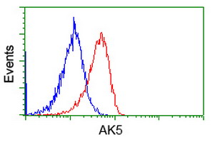 AK5 / Adenylate Kinase 5 Antibody - Flow cytometric Analysis of Jurkat cells, using anti-AK5 antibody, (Red), compared to a nonspecific negative control antibody, (Blue).