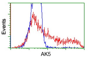 AK5 / Adenylate Kinase 5 Antibody - HEK293T cells transfected with either overexpress plasmid (Red) or empty vector control plasmid (Blue) were immunostained by anti-AK5 antibody, and then analyzed by flow cytometry.