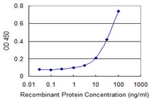 AK9 / AKD1 / AKD2 Antibody - Detection limit for recombinant GST tagged C6orf199 is 1 ng/ml as a capture antibody.