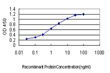 AKAP10 Antibody - Detection limit for recombinant GST tagged AKAP10 is approximately 0.03 ng/ml as a capture antibody.