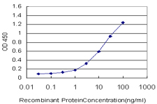 AKAP17A / 721P Antibody - Detection limit for recombinant GST tagged RP13-297E16.1 is approximately 0.1 ng/ml as a capture antibody.