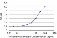 AKAP7 Antibody - Detection limit for recombinant GST tagged AKAP7 is approximately 1 ng/ml as a capture antibody.
