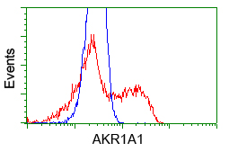 AKR1A1 Antibody - HEK293T cells transfected with either pCMV6-ENTRY AKR1A1 (Red) or empty vector control plasmid (Blue) were immunostained with anti-AKR1A1 mouse monoclonal, and then analyzed by flow cytometry.