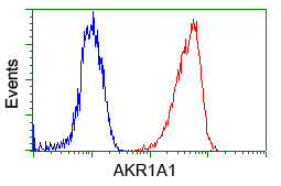 AKR1A1 Antibody - Flow cytometry of Jurkat cells, using anti-AKR1A1 antibody, (Red) compared to a nonspecific negative control antibody (Blue).