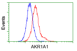 AKR1A1 Antibody - Flow cytometry of HeLa cells, using anti-AKR1A1 antibody, (Red) compared to a nonspecific negative control antibody (Blue).