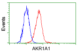 AKR1A1 Antibody - Flow cytometry of HeLa cells, using anti-AKR1A1 antibody, (Red) compared to a nonspecific negative control antibody (Blue).