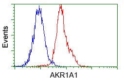 AKR1A1 Antibody - Flow cytometry of Jurkat cells, using anti-AKR1A1 antibody, (Red) compared to a nonspecific negative control antibody (Blue).