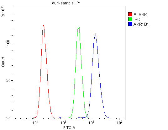 AKR1B1 / Aldose Reductase Antibody - Flow Cytometry analysis of U20S cells using anti-AKR1B1 antibody. Overlay histogram showing U20S cells stained with anti-AKR1B1 antibody (Blue line). The cells were blocked with 10% normal goat serum. And then incubated with rabbit anti-AKR1B1 Antibody (1µg/10E6 cells) for 30 min at 20°C. DyLight®488 conjugated goat anti-rabbit IgG (5-10µg/10E6 cells) was used as secondary antibody for 30 minutes at 20°C. Isotype control antibody (Green line) was rabbit IgG (1µg/10E6 cells) used under the same conditions. Unlabelled sample (Red line) was also used as a control.