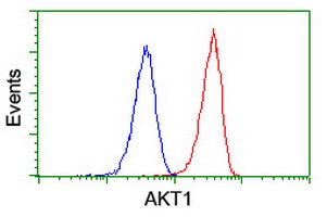 AKT1 Antibody - Flow cytometry of Jurkat cells, using anti-AKT1 antibody (Red), compared to a nonspecific negative control antibody (Blue).