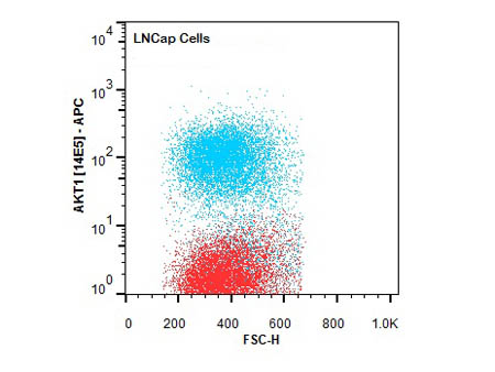 AKT1 Antibody - Flow Cytometry of Mouse anti-AKT1 antibody. Cells: LNCap Cells. Stimulation: none. Primary antibody: Allophycocyanin AKT1 antibody at 1.0 µg/mL for 20 min at 4°C.