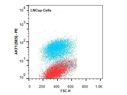 AKT1 Antibody - Flow Cytometry of Mouse anti-AKT1 antibody. Cells: LNCap Cells. Stimulation: none. Primary antibody: Phycoerythrin AKT1 antibody at 1.0 µg/mL for 20 min at 4°C.