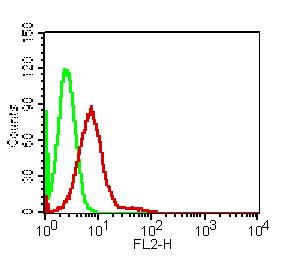 AKT1 Antibody - Fig-2: Intracellular flow cytometric analysis of AKT1 in HePG2 cell lines using 0.5 µg/10^6 cells of AKT-1 antibody. Green represent isotype control and red represent Anti-AKT1 antibody. Goat Anti-Mouse PE was used as the secondary antibody
