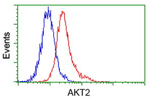 AKT2 Antibody - Flow cytometry of Jurkat cells, using anti-AKT2 antibody, (Red) compared to a nonspecific negative control antibody (Blue).