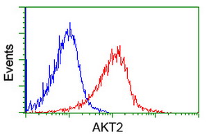 AKT2 Antibody - Flow cytometry of Jurkat cells, using anti-AKT2 antibody (Red), compared to a nonspecific negative control antibody (Blue).