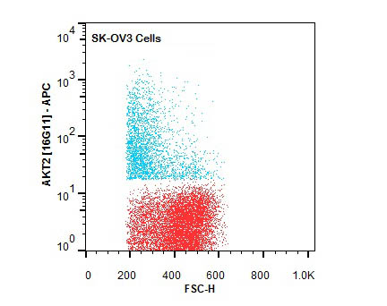 AKT2 Antibody - Flow Cytometry of Rat anti-AKT2 antibody. Cells: SK-OV3 Cells. Stimulation: none. Primary antibody: Allophycocyanin AKT2 antibody at 1.0 µg/mL for 20 min at 4°C.