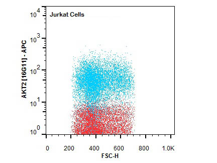 AKT2 Antibody - Flow Cytometry of Rat anti-AKT2 antibody. Cells: Jurkat Cells. Stimulation: none. Primary antibody: Allophycocyanin AKT2 antibody at 1.0 µg/mL for 20 min at 4°C.