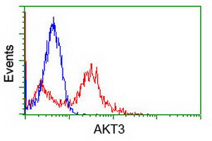 AKT3 Antibody - HEK293T cells transfected with either overexpress plasmid (Red) or empty vector control plasmid (Blue) were immunostained by anti-AKT3 antibody, and then analyzed by flow cytometry.
