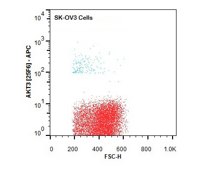 AKT3 Antibody - Flow Cytometry of Mouse anti-AKT3 antibody. Cells: SK-OV3 Cells. Stimulation: none. Primary antibody: Allophycocyanin AKT3 antibody at 1.0 µg/mL for 20 min at 4°C.
