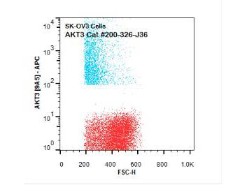AKT3 Antibody - Flow Cytometry of Mouse anti-AKT3 antibody. Cells: SK-OV3 Cells. Stimulation: none. Primary antibody: Allophycocyanin conjugated AKT3 antibody at 1.0 µg/mL for 20 min at 4°C.