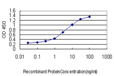 ALAS1 Antibody - Detection limit for recombinant GST tagged ALAS1 is approximately 0.1 ng/ml as a capture antibody.