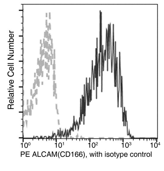 ALCAM / CD166 Antibody - Flow cytometric analysis of Cynomolgus CD166 expression on Cynomolgus monocytes. Cells were stained with PE-conjugated anti-CD166. The fluorescence histograms were derived from gated events with the forward and side light-scatter characteristics of viable monocytes.