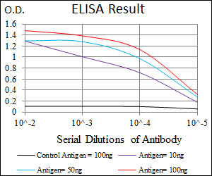 ALCAM / CD166 Antibody - Red: Control Antigen (100ng); Purple: Antigen (10ng); Green: Antigen (50ng); Blue: Antigen (100ng);