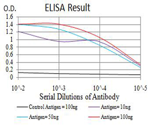 ALDH1A1 / ALDH1 Antibody - Black line: Control Antigen (100 ng);Purple line: Antigen (10ng); Blue line: Antigen (50 ng); Red line:Antigen (100 ng)