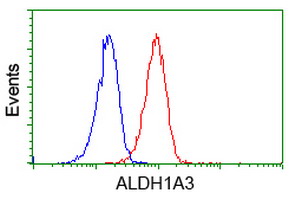 ALDH1A3 Antibody - Flow cytometry of Jurkat cells, using anti-ALDH1A3 antibody (Red), compared to a nonspecific negative control antibody (Blue).