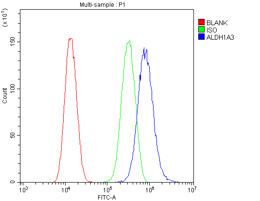 ALDH1A3 Antibody - Flow Cytometry analysis of U-87MG cells using anti-ALDH1A3 antibody. Overlay histogram showing U-87MG cells stained with anti-ALDH1A3 antibody (Blue line). The cells were blocked with 10% normal goat serum. And then incubated with rabbit anti-ALDH1A3 Antibody (1µg/10E6 cells) for 30 min at 20°C. DyLight®488 conjugated goat anti-rabbit IgG (5-10µg/10E6 cells) was used as secondary antibody for 30 minutes at 20°C. Isotype control antibody (Green line) was rabbit IgG (1µg/10E6 cells) used under the same conditions. Unlabelled sample (Red line) was also used as a control.