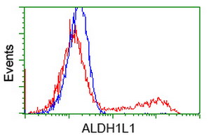 ALDH1L1 Antibody - HEK293T cells transfected with either overexpress plasmid (Red) or empty vector control plasmid (Blue) were immunostained by anti-ALDH1L1 antibody, and then analyzed by flow cytometry.