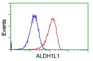 ALDH1L1 Antibody - Flow cytometric Analysis of Hela cells, using anti-ALDH1L1 antibody, (Red), compared to a nonspecific negative control antibody, (Blue).
