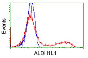 ALDH1L1 Antibody - HEK293T cells transfected with either overexpress plasmid (Red) or empty vector control plasmid (Blue) were immunostained by anti-ALDH1L1 antibody, and then analyzed by flow cytometry.