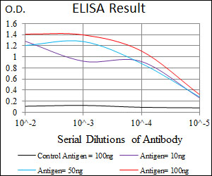 ALDH2 Antibody - Red: Control Antigen (100ng); Purple: Antigen (10ng); Green: Antigen (50ng); Blue: Antigen (100ng);