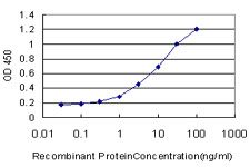 ALDH2 Antibody - Detection limit for recombinant GST tagged ALDH2 is approximately 0.3 ng/ml as a capture antibody.