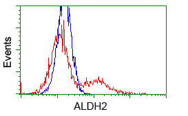 ALDH2 Antibody - HEK293T cells transfected with either pCMV6-ENTRY ALDH2 (Red) or empty vector control plasmid (Blue) were immunostained with anti-ALDH2 mouse monoclonal(Dilution 1:1,000), and then analyzed by flow cytometry.