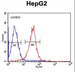 ALDH2 Antibody - ALDH2 Monoclonal Antibody flow cytometry of HepG2 cells (right histogram) compared to a negative control cell (left histogram). PE-conjugated goat-anti-mouse secondary antibodies were used for the analysis.