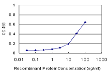 ALDH3A1 Antibody - Detection limit for recombinant GST tagged ALDH3A1 is approximately 1 ng/ml as a capture antibody.