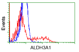 ALDH3A1 Antibody - HEK293T cells transfected with either pCMV6-ENTRY ALDH3A1 (Red) or empty vector control plasmid (Blue) were immunostained with anti-ALDH3A1 mouse monoclonal, and then analyzed by flow cytometry.