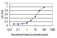 ALDH3B2 Antibody - Detection limit for recombinant GST tagged ALDH3B2 is approximately 0.3 ng/ml as a capture antibody.