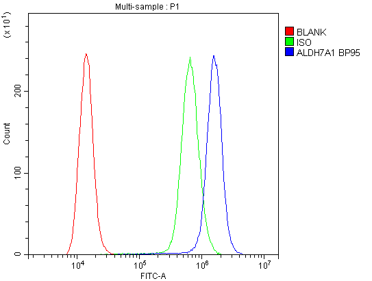 ALDH7A1 Antibody - Flow Cytometry analysis of A431 cells using anti-ALDH7A1 antibody. Overlay histogram showing A431 cells stained with anti-ALDH7A1 antibody (Blue line). The cells were blocked with 10% normal goat serum. And then incubated with rabbit anti-ALDH7A1 Antibody (1µg/10E6 cells) for 30 min at 20°C. DyLight®488 conjugated goat anti-rabbit IgG (5-10µg/10E6 cells) was used as secondary antibody for 30 minutes at 20°C. Isotype control antibody (Green line) was rabbit IgG (1µg/10E6 cells) used under the same conditions. Unlabelled sample (Red line) was also used as a control.