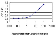 ALDOB Antibody - Detection limit for recombinant GST tagged ALDOB is approximately 0.3 ng/ml as a capture antibody.
