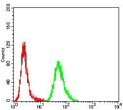 ALK2 / ACVR1 Antibody - Flow cytometric analysis of Hela cells using ACVR1 mouse mAb (green) and negative control (red).