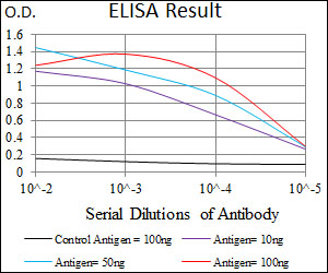 ALK3 / BMPR1A Antibody - Red: Control Antigen (100ng); Purple: Antigen (10ng); Green: Antigen (50ng); Blue: Antigen (100ng);