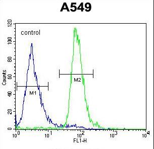 ALOX12B Antibody - ALOX12B Antibody flow cytometry of A549 cells (right histogram) compared to a negative control cell (left histogram). FITC-conjugated goat-anti-rabbit secondary antibodies were used for the analysis.