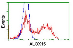 ALOX15 / 15-Lipoxygenase Antibody - HEK293T cells transfected with either overexpress plasmid (Red) or empty vector control plasmid (Blue) were immunostained by anti-ALOX15 antibody, and then analyzed by flow cytometry.