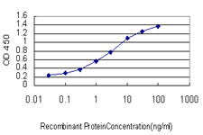 Alpha-Fetoprotein Antibody - Detection limit for recombinant GST tagged AFP is approximately 0.03 ng/ml as a capture antibody.