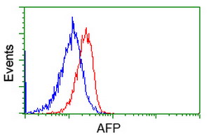 Alpha-Fetoprotein Antibody - Flow cytometry of Jurkat cells, using anti-AFP antibody, (Red), compared to a nonspecific negative control antibody, (Blue).