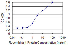 ALPI / Alkaline Phosphatase Antibody - Detection limit for recombinant GST tagged ALPI is 0.3 ng/ml as a capture antibody.