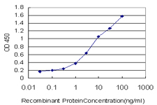 ALPL / Alkaline Phosphatase Antibody - Detection limit for recombinant GST tagged ALPL is approximately 0.1 ng/ml as a capture antibody.