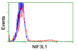 ALS2CR1 / NIF3L1 Antibody - HEK293T cells transfected with either overexpress plasmid (Red) or empty vector control plasmid (Blue) were immunostained by anti-NIF3L1 antibody, and then analyzed by flow cytometry.